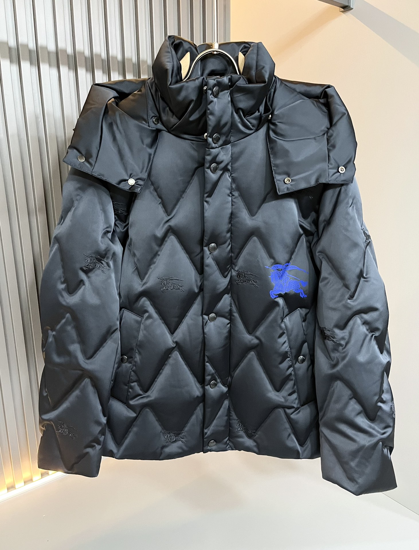 Burberry Down Jackets